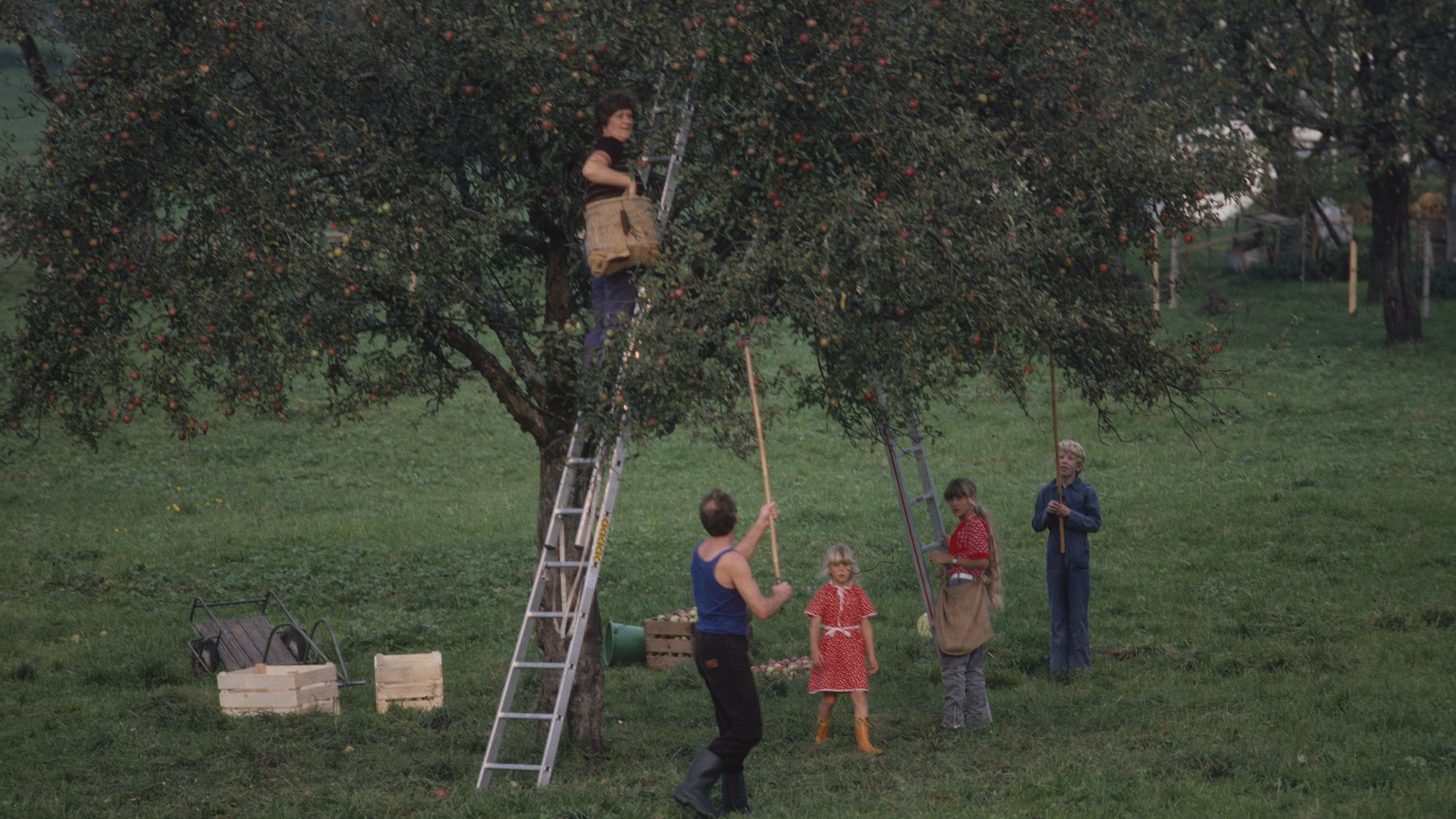 Com Ex BA02 0019 0051