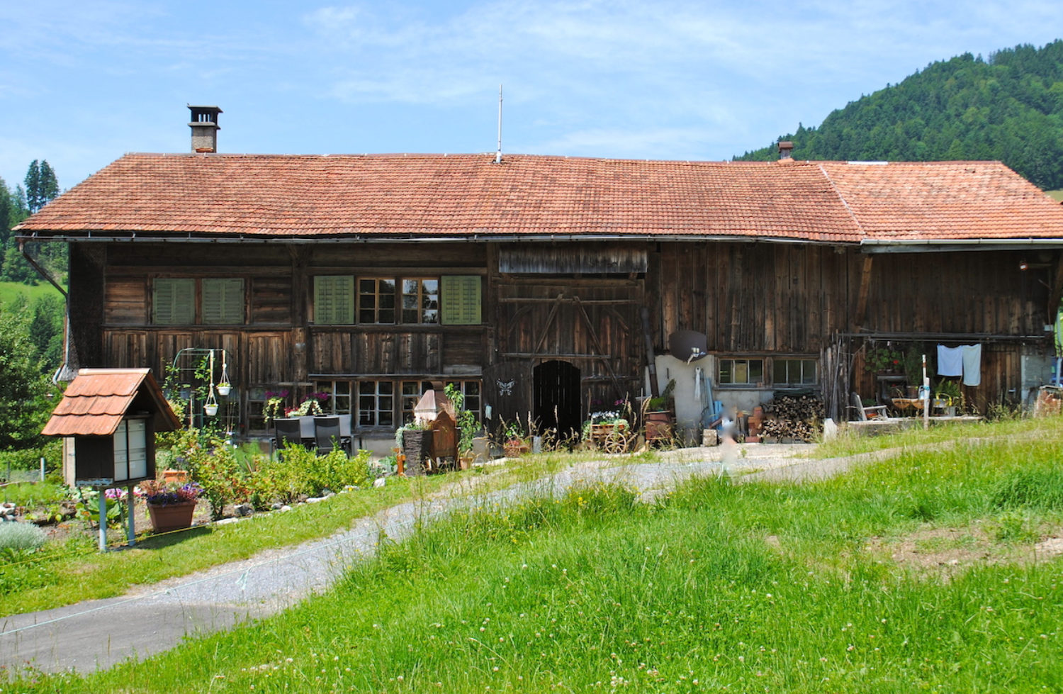 6 Haustypen Flarzhaushübliwald Zh 1250