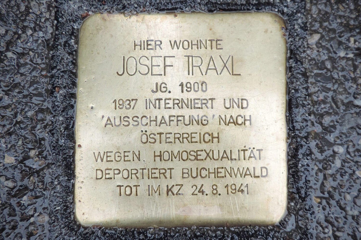 2306 stolperstein zuerich josef traxl