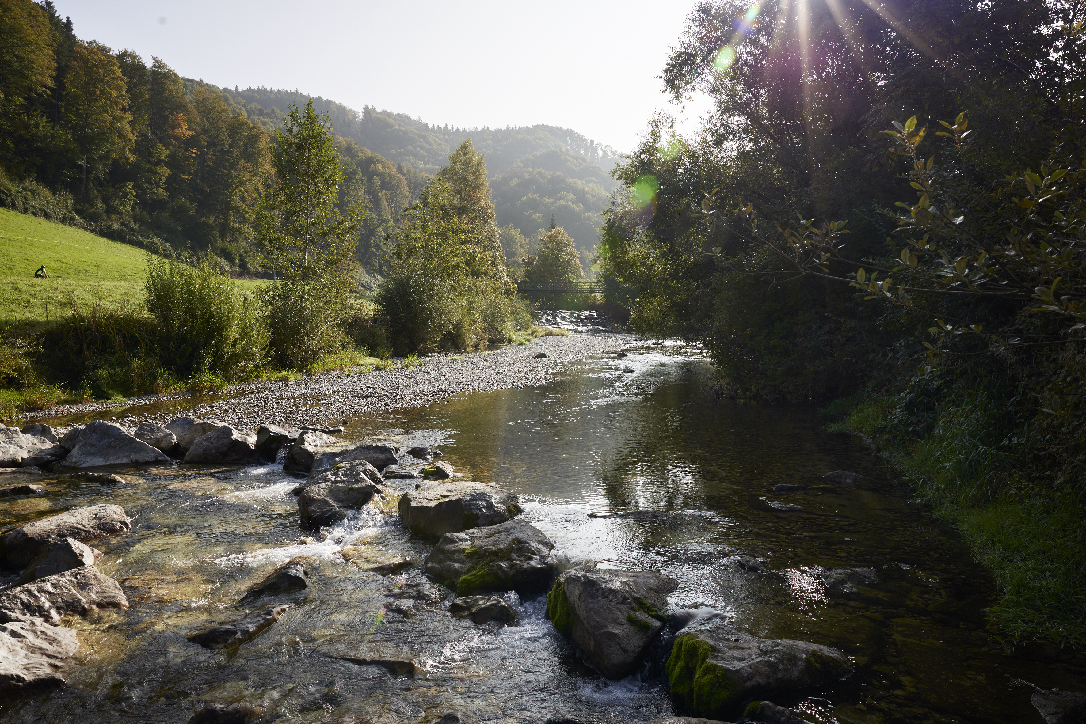 E Infach Züerich 231001 Freddi Haus Gujer Weg Bauma Neuthal Dampfzug 0152 final