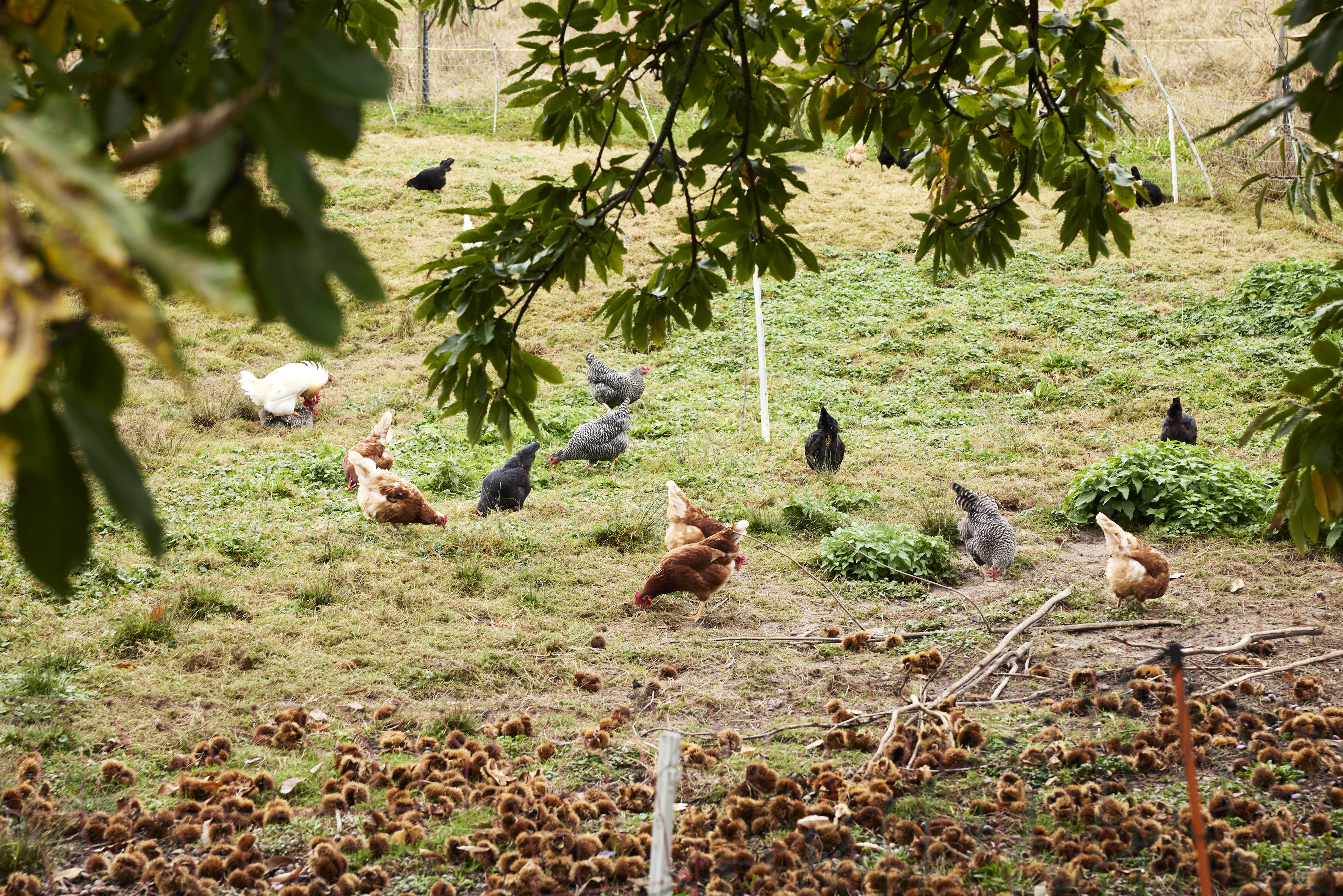 Einfach Zuerich Aabachtobel Bergwerk Horgen 0008 final