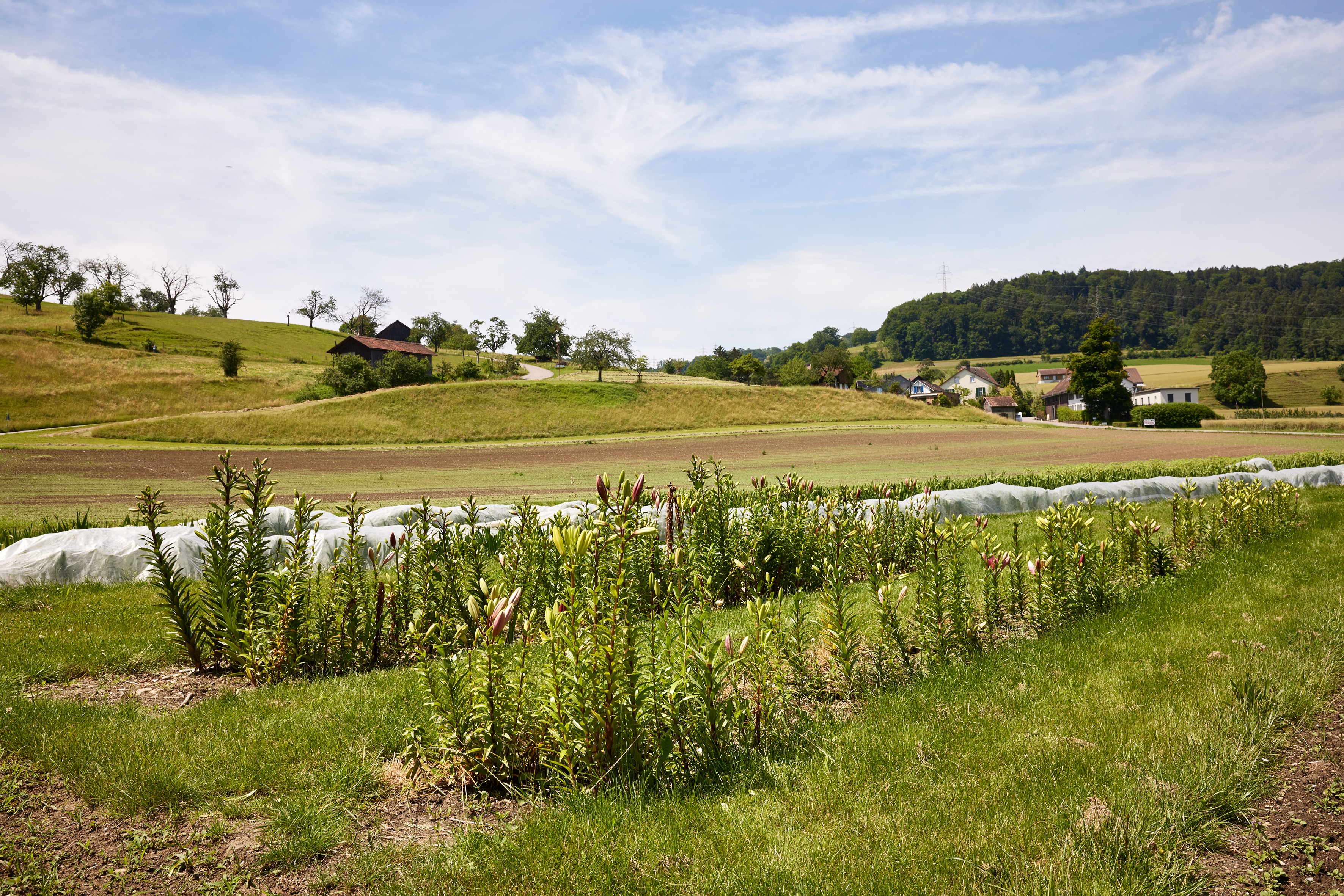 Kulturwanderung Einfach Z Uerich Museum Schaffen Daettnau Winterthur 0001 final