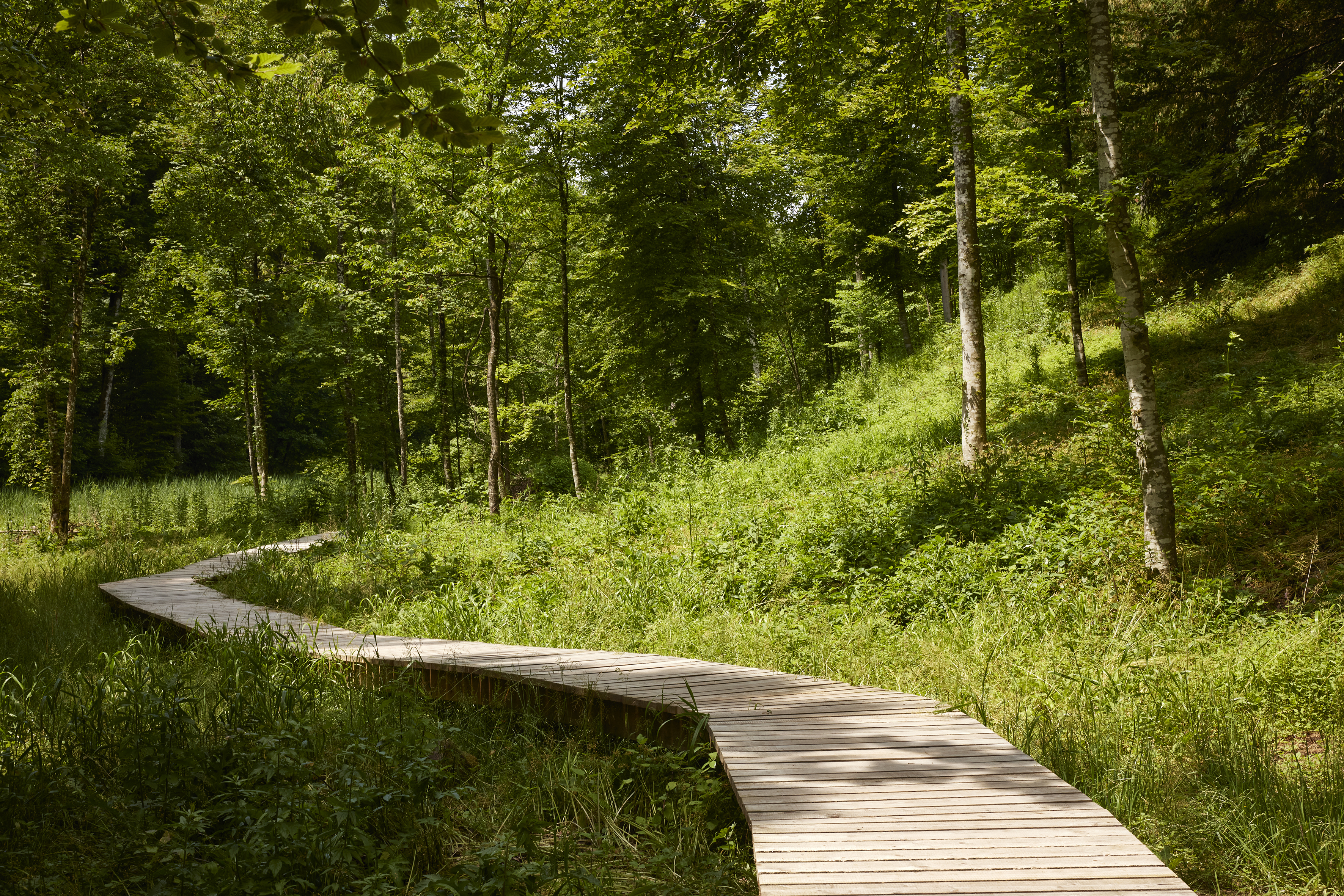 Kulturwanderung Einfach Z Uerich Museum Schaffen Daettnau Winterthur 0073 final