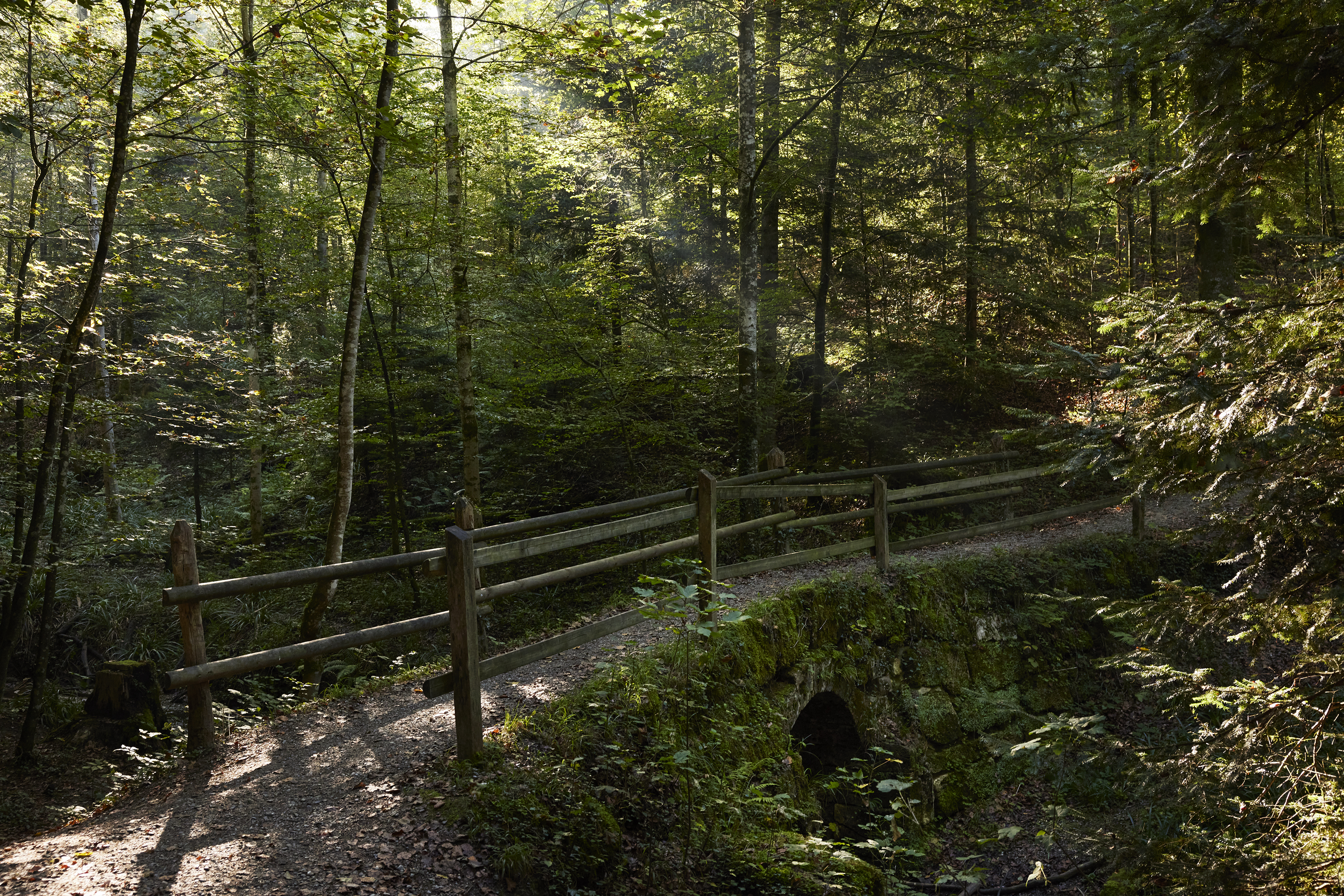 Kyburg einfach zuerich 09 2023 0036 final