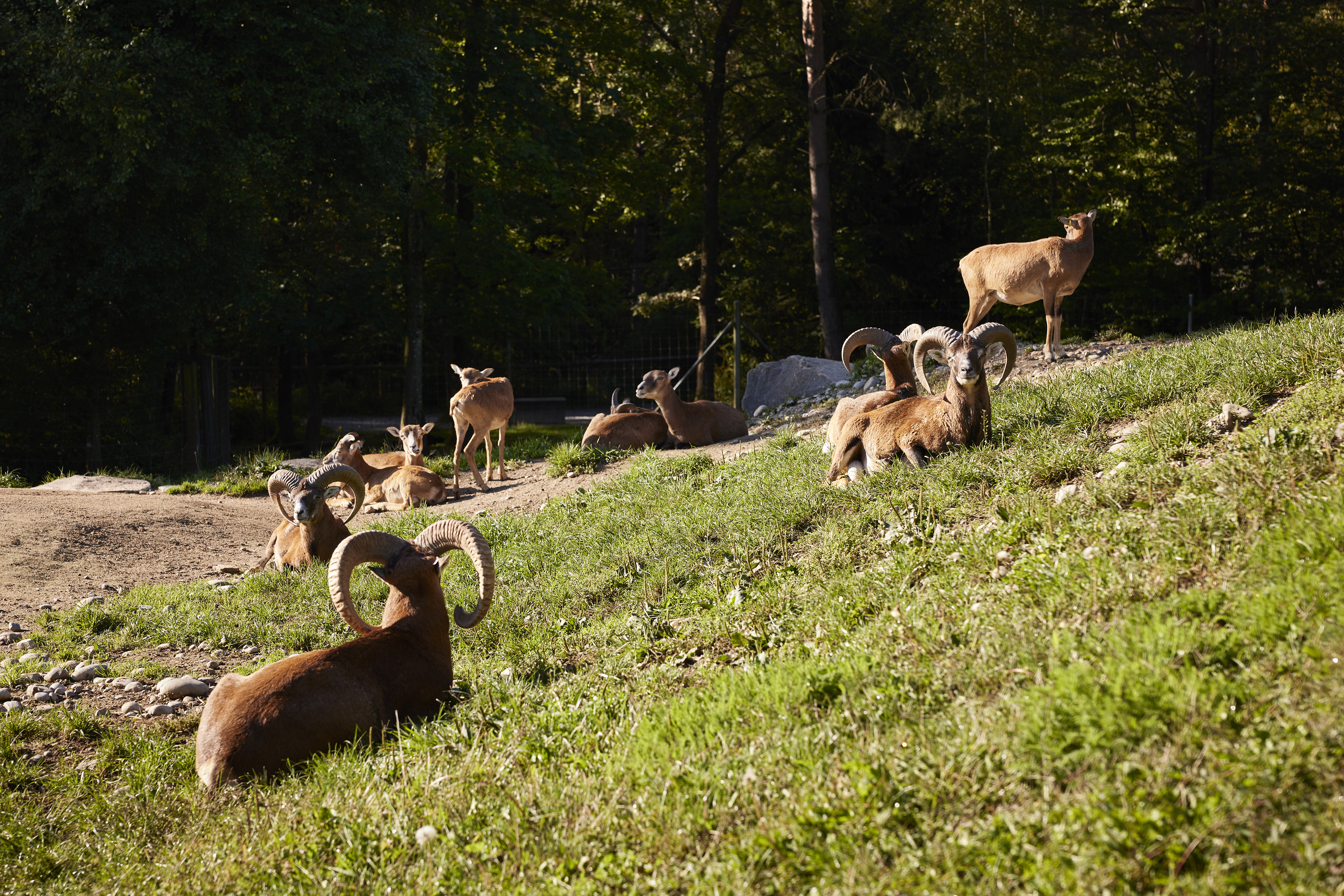 Kyburg einfach zuerich 09 2023 0073 final