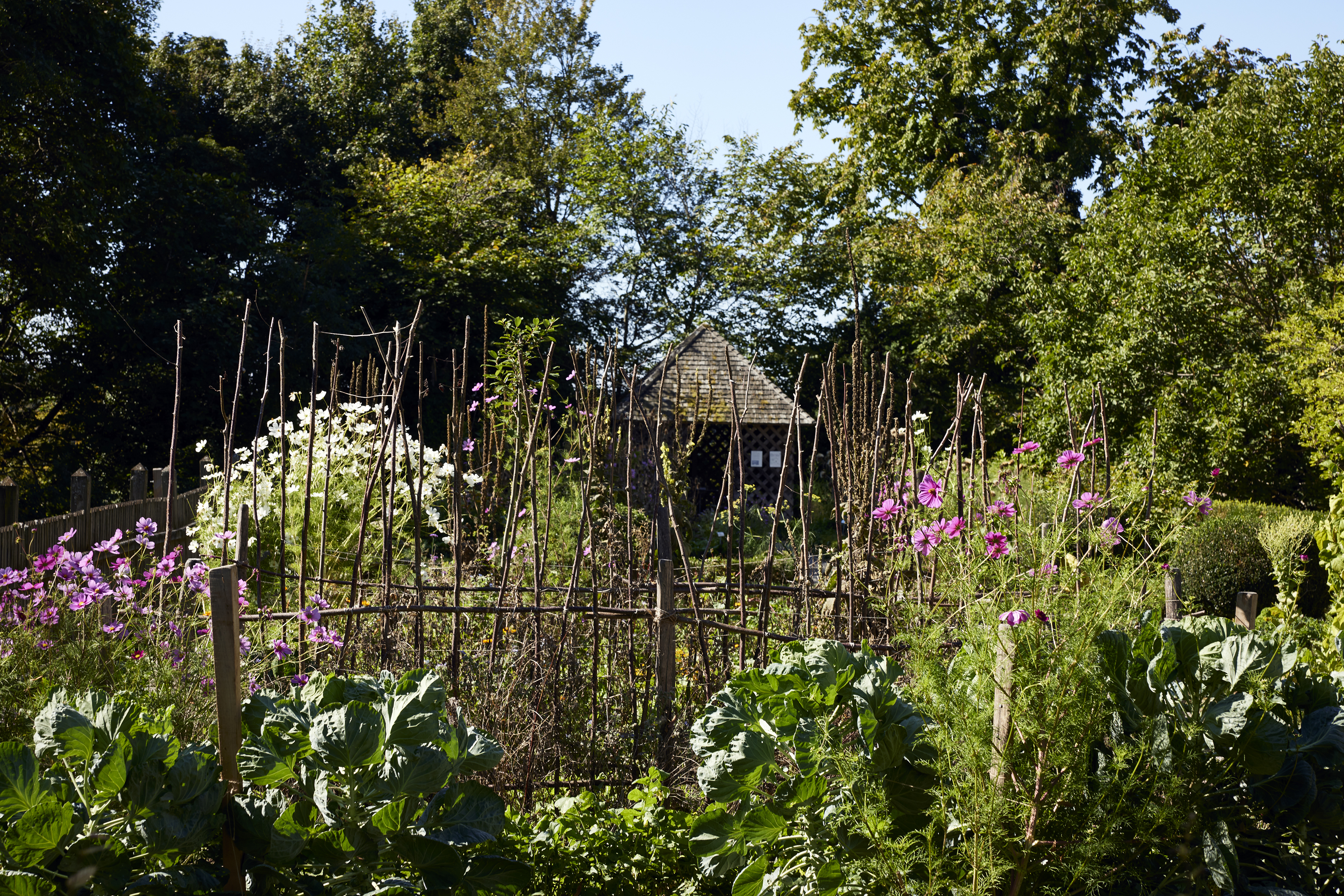 Kyburg einfach zuerich 09 2023 0286 final